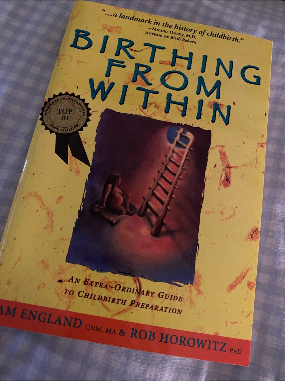 🍍 Book: Birthing from Within: An Extra-Ordinary Guide to Childbirth Preparation